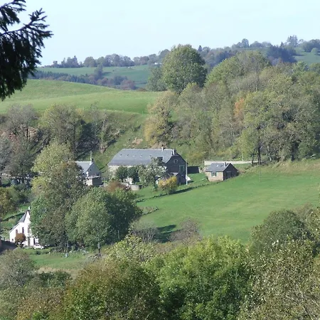 Ancien Four A Pain Renove Avec Jardin Et Cheminee - Fr-1-742-607 * Condat (Cantal)